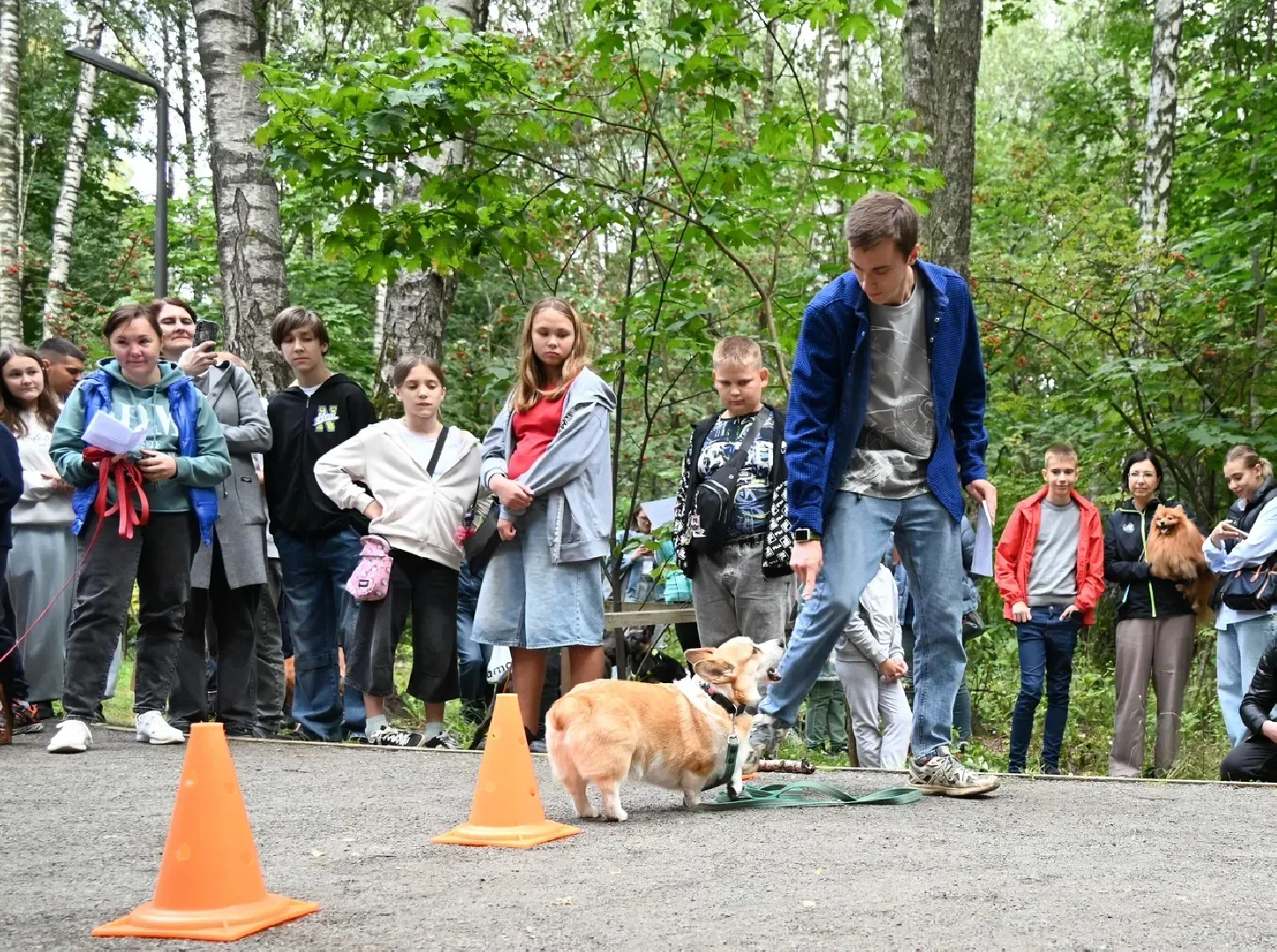 фестиваль животных , ленинский городской округ, соревнования собак, мастер класс,