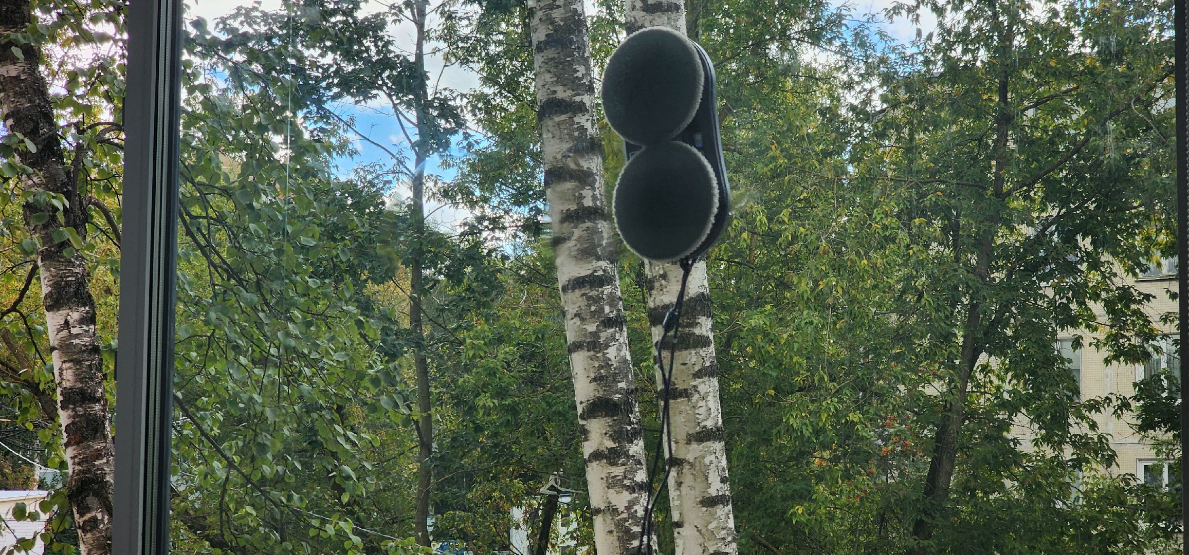 долгопрудный, школы, капремонт, робот-мойщик, благоустройство пришкольной территории,  фасад, цоколь, парты,