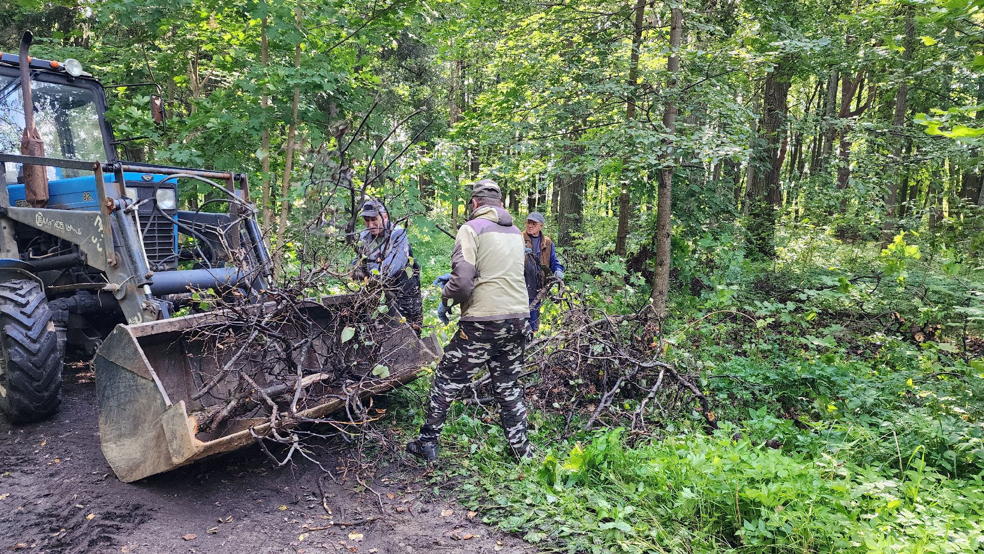 истра, благоустройство,добродел,