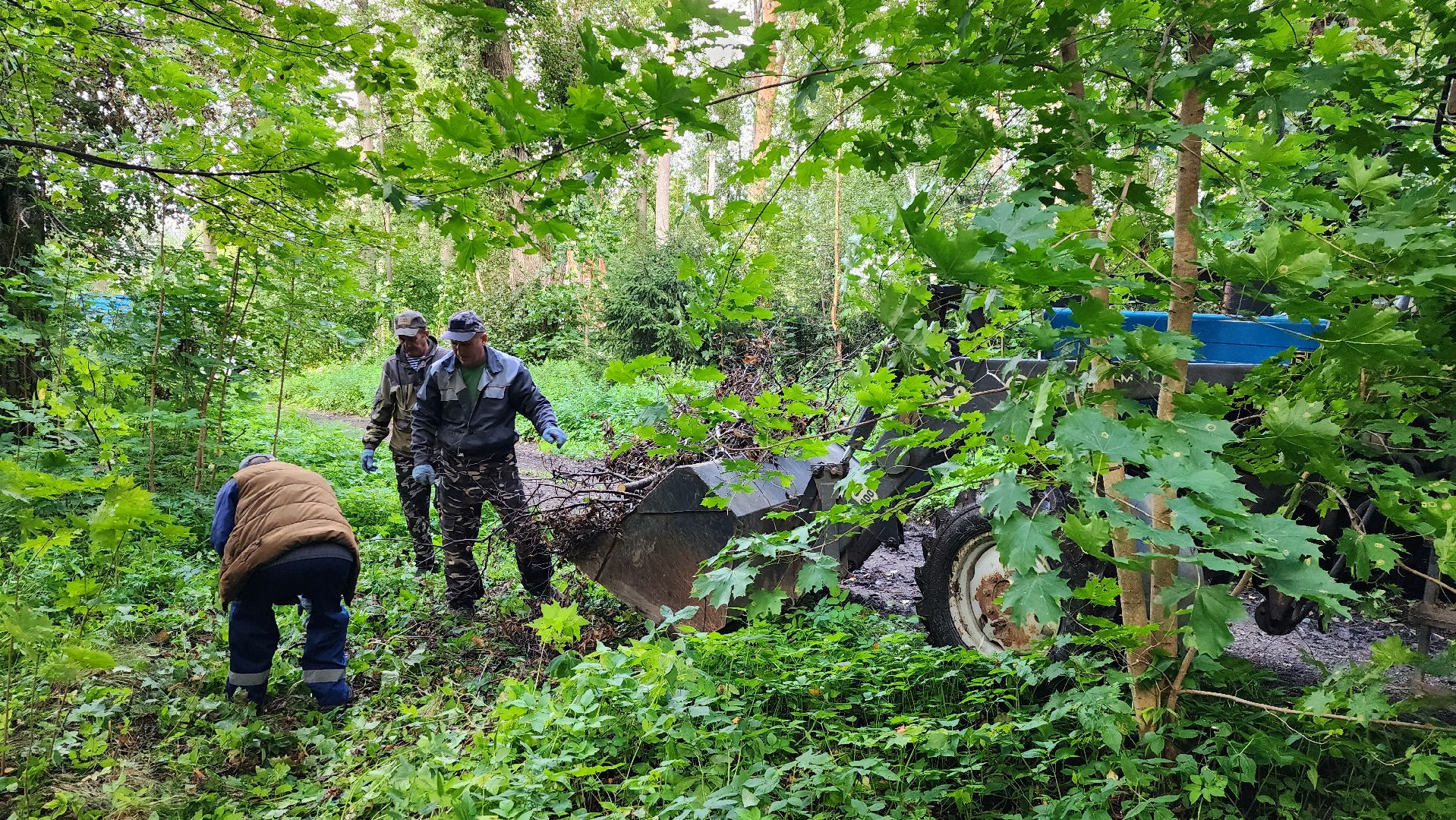 истра, благоустройство,добродел,
