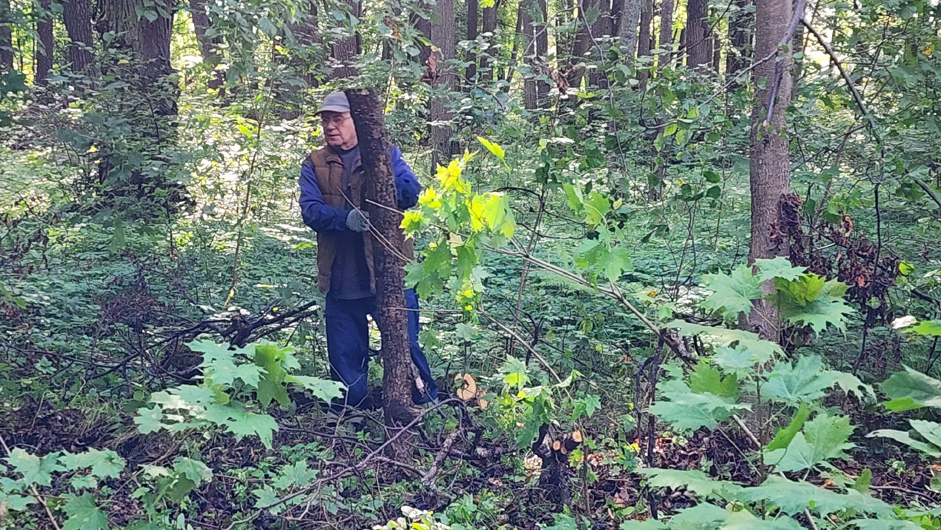 истра, благоустройство,добродел,