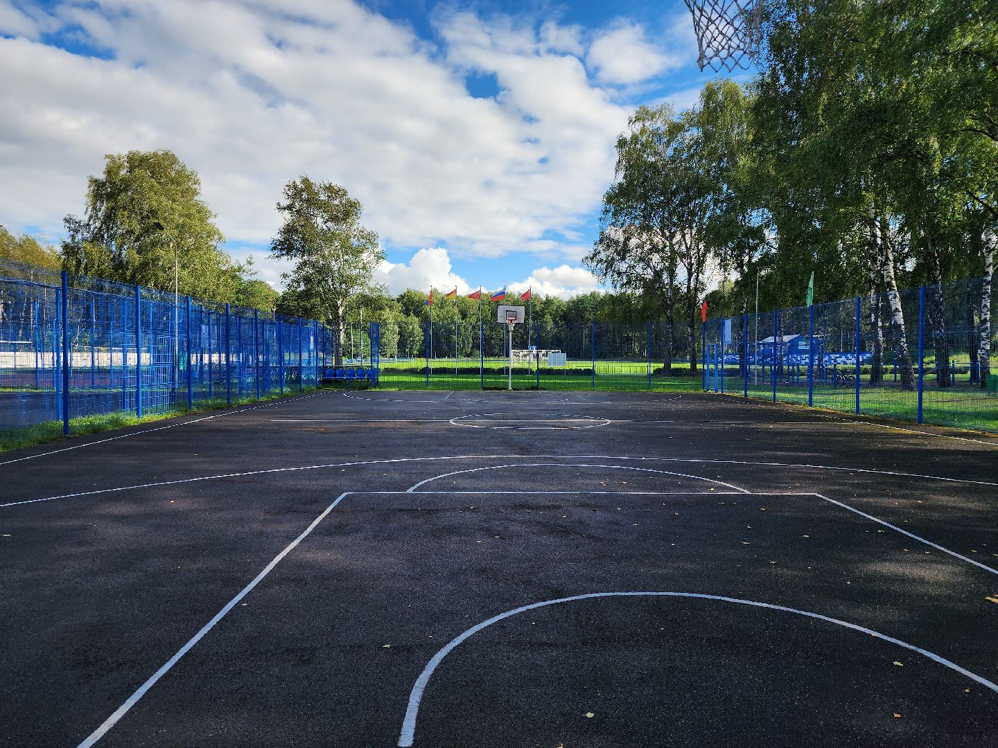 министерство спорта московской области, места для занятия спортом,  стадион, старая купавна, богородский городской округ,