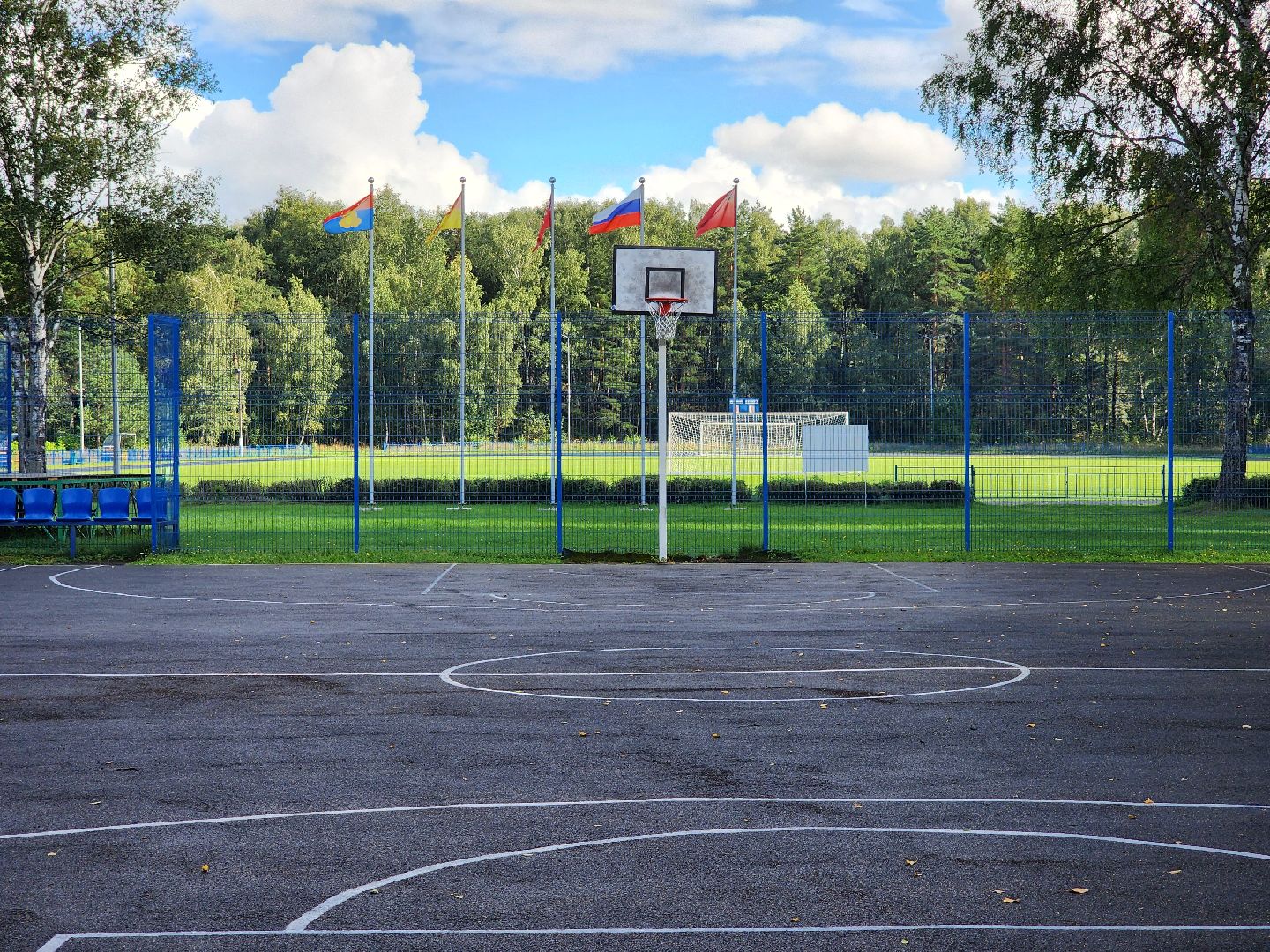 министерство спорта московской области, места для занятия спортом,  стадион, старая купавна, богородский городской округ,