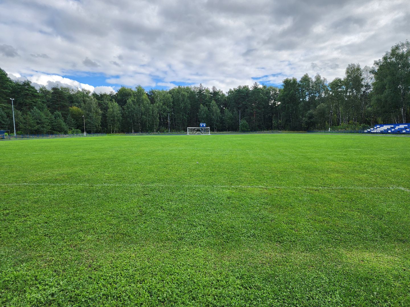министерство спорта московской области, места для занятия спортом,  стадион, старая купавна, богородский городской округ,