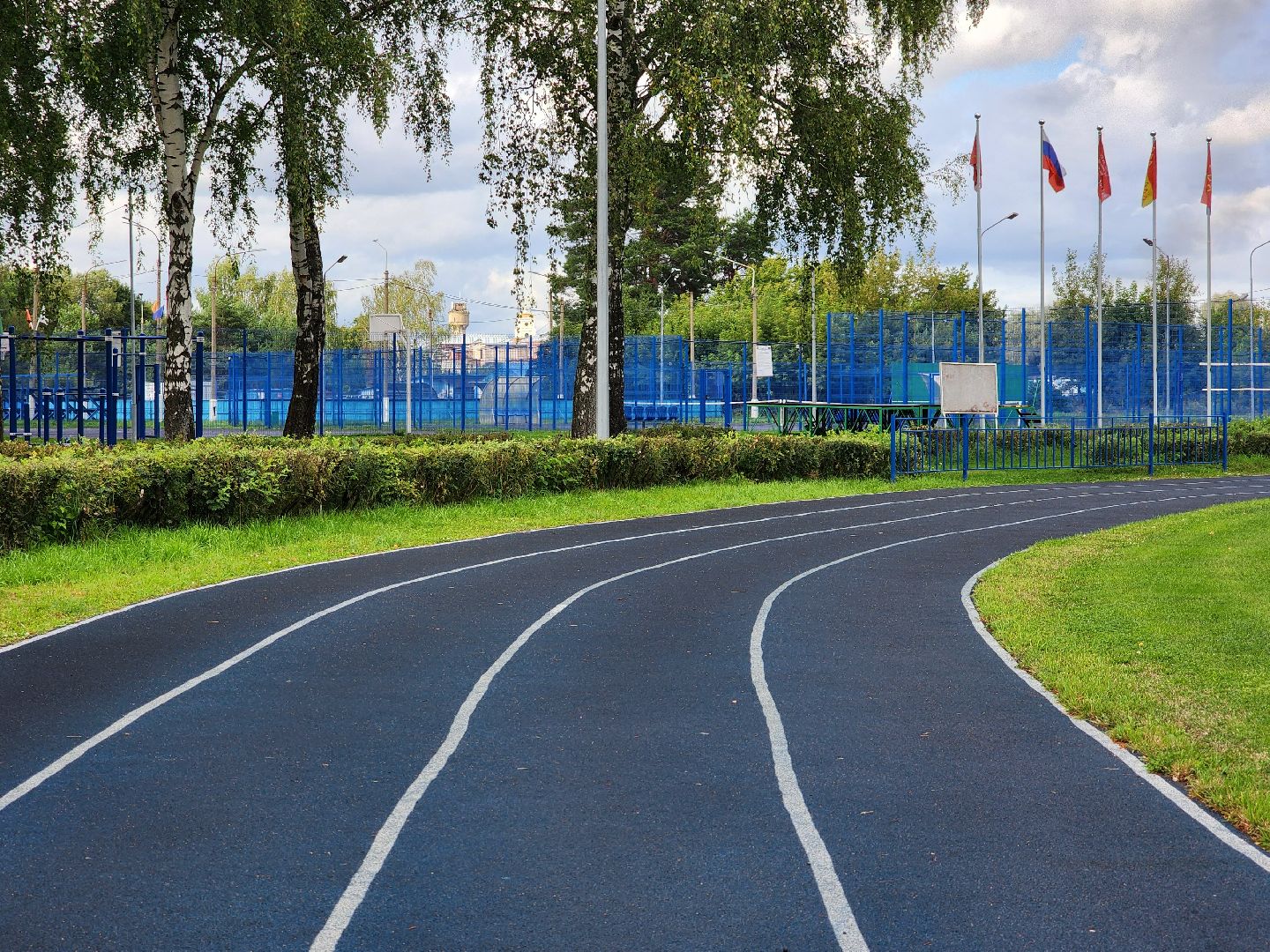 министерство спорта московской области, места для занятия спортом,  стадион, старая купавна, богородский городской округ,