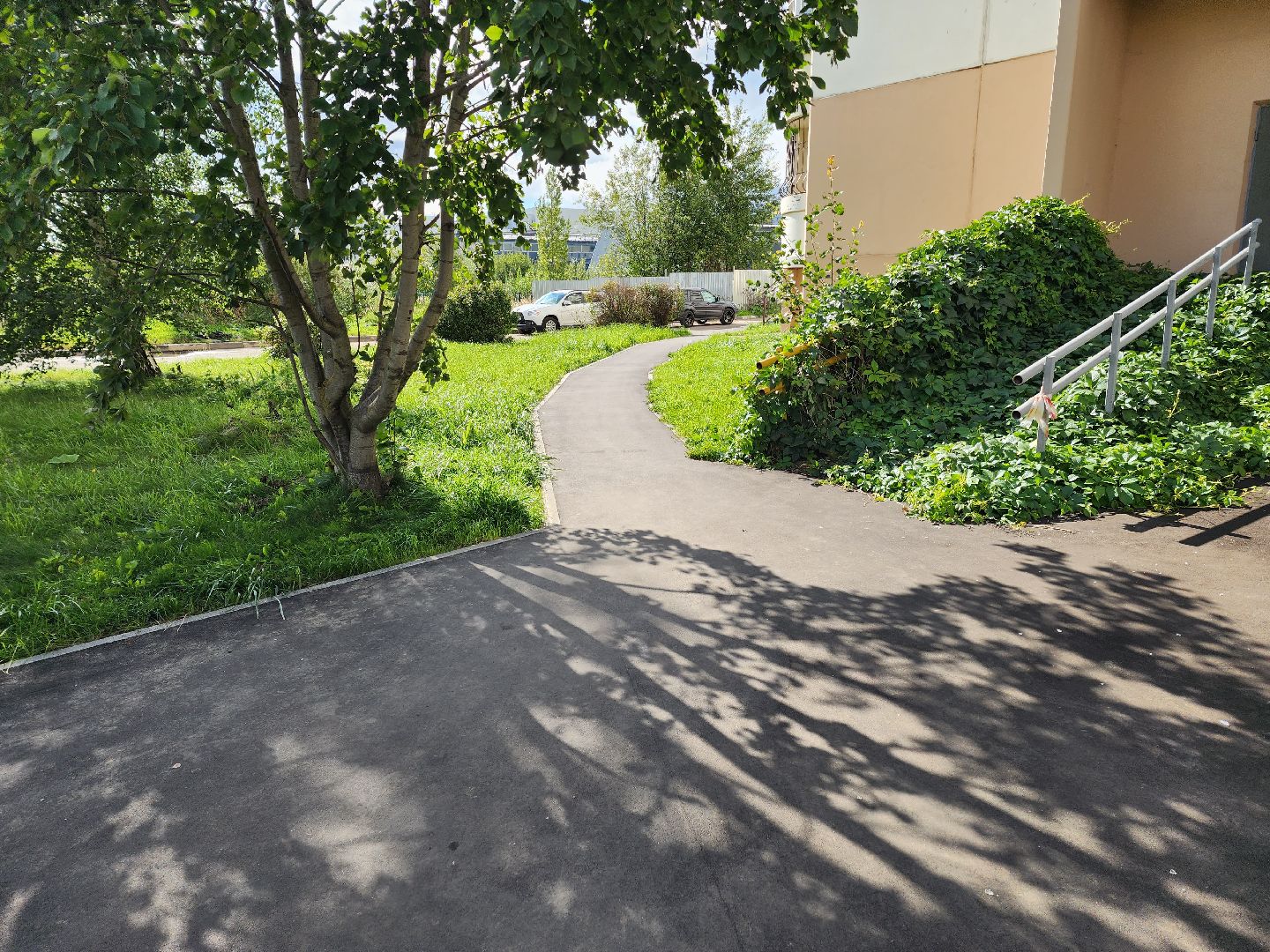 солнечногорск, благоустройство , двор, асфальт , жители ,