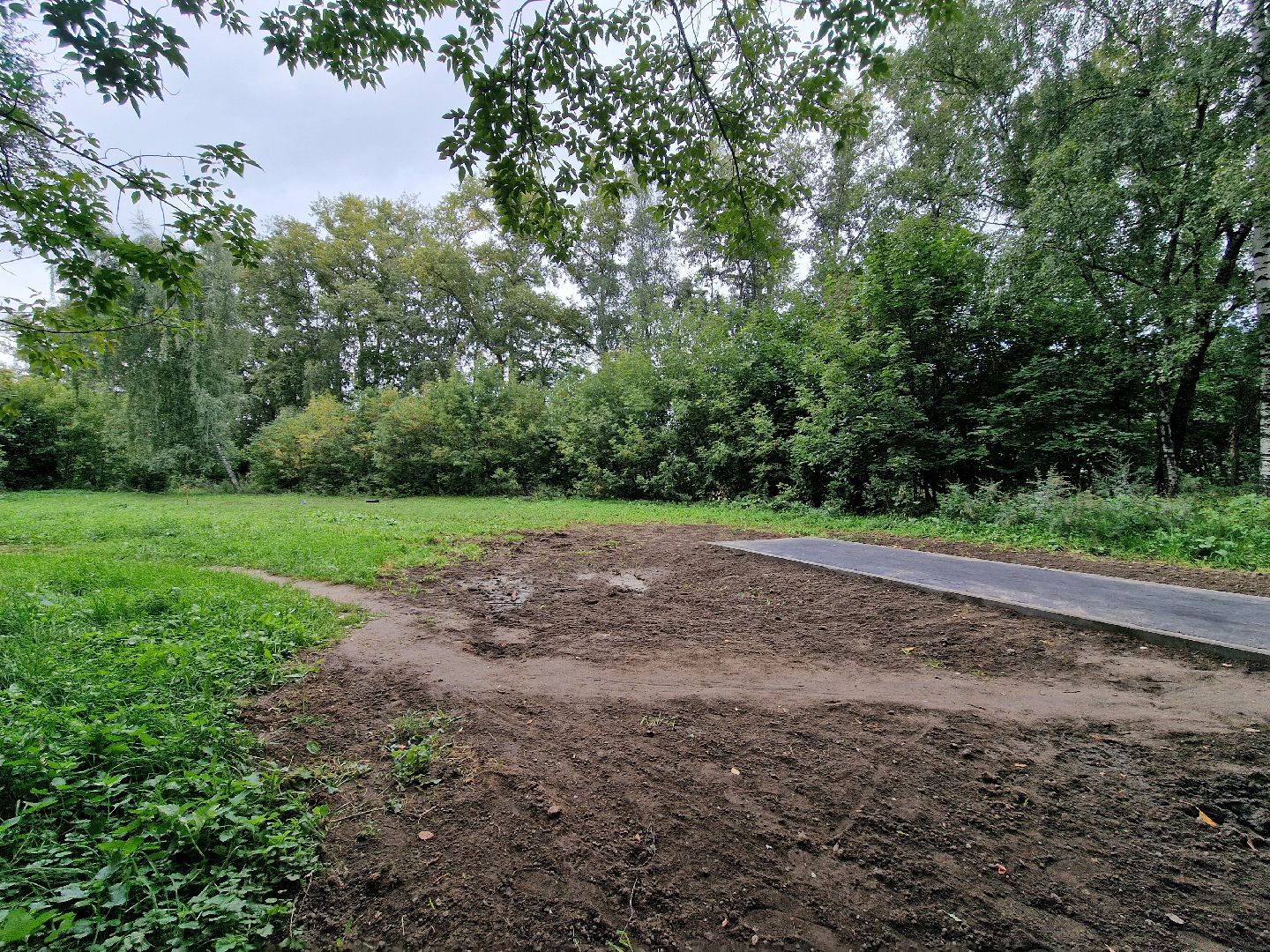 балашиха, микрорайон южный балашиха, площадка для выгула собак в микрорайоне южный,