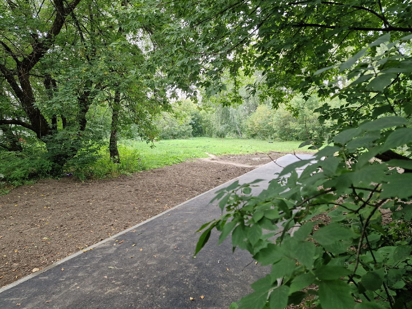 балашиха, микрорайон южный балашиха, площадка для выгула собак в микрорайоне южный,