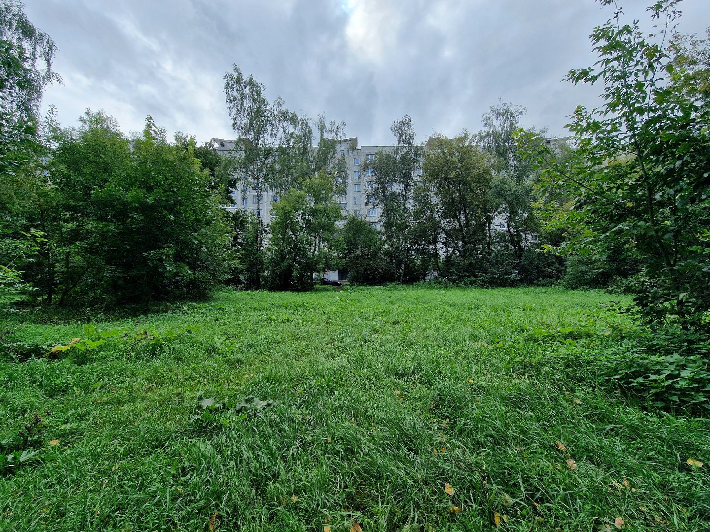 балашиха, микрорайон южный балашиха, площадка для выгула собак в микрорайоне южный,