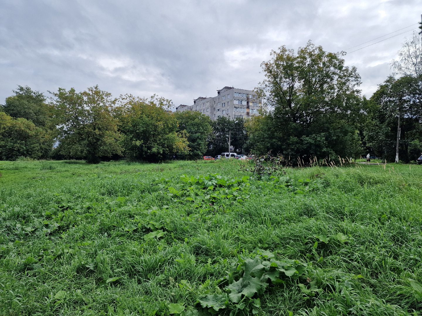 балашиха, микрорайон южный балашиха, площадка для выгула собак в микрорайоне южный,