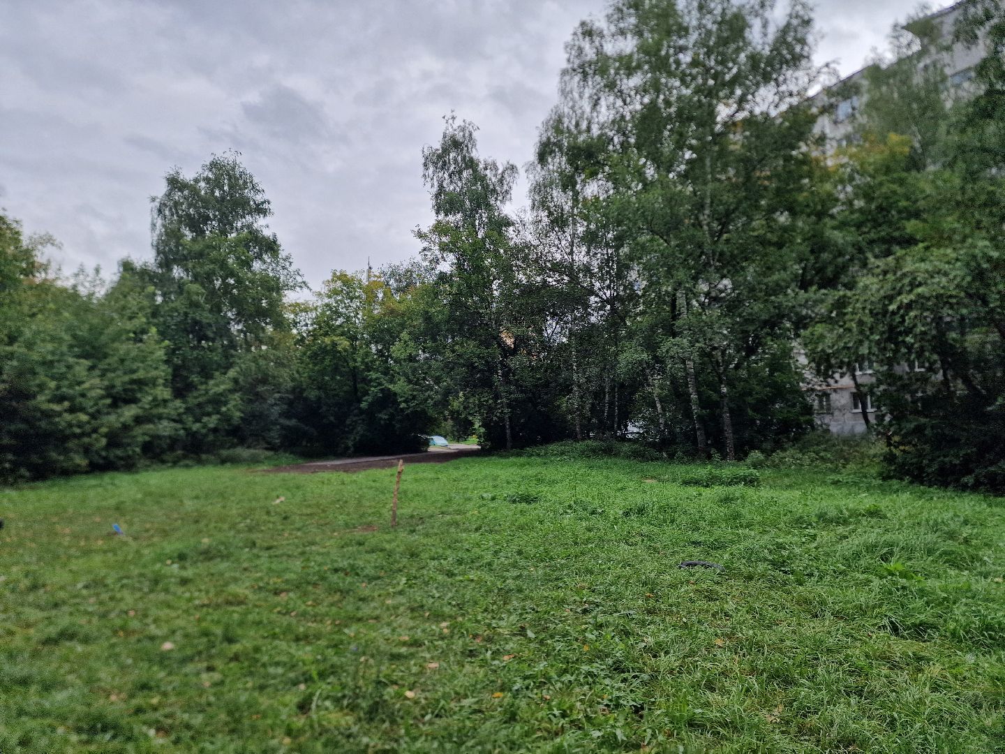 балашиха, микрорайон южный балашиха, площадка для выгула собак в микрорайоне южный,