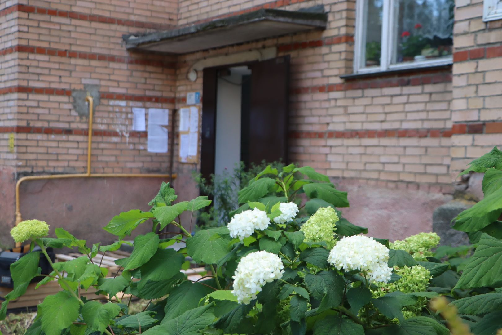 зарайск, жкх, ремонт подъездов, мкд,