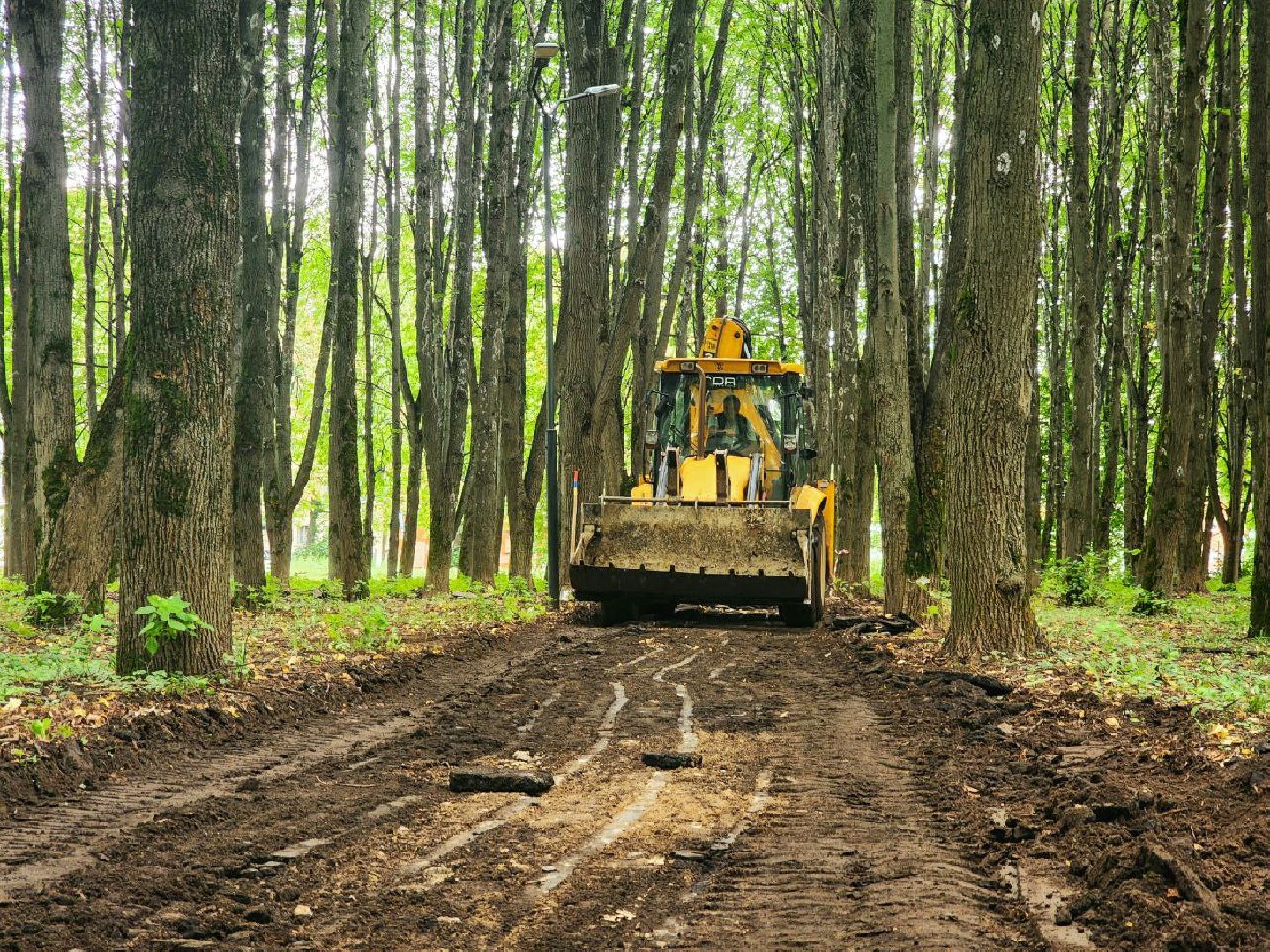 пущино, серпухов, народные тропы,