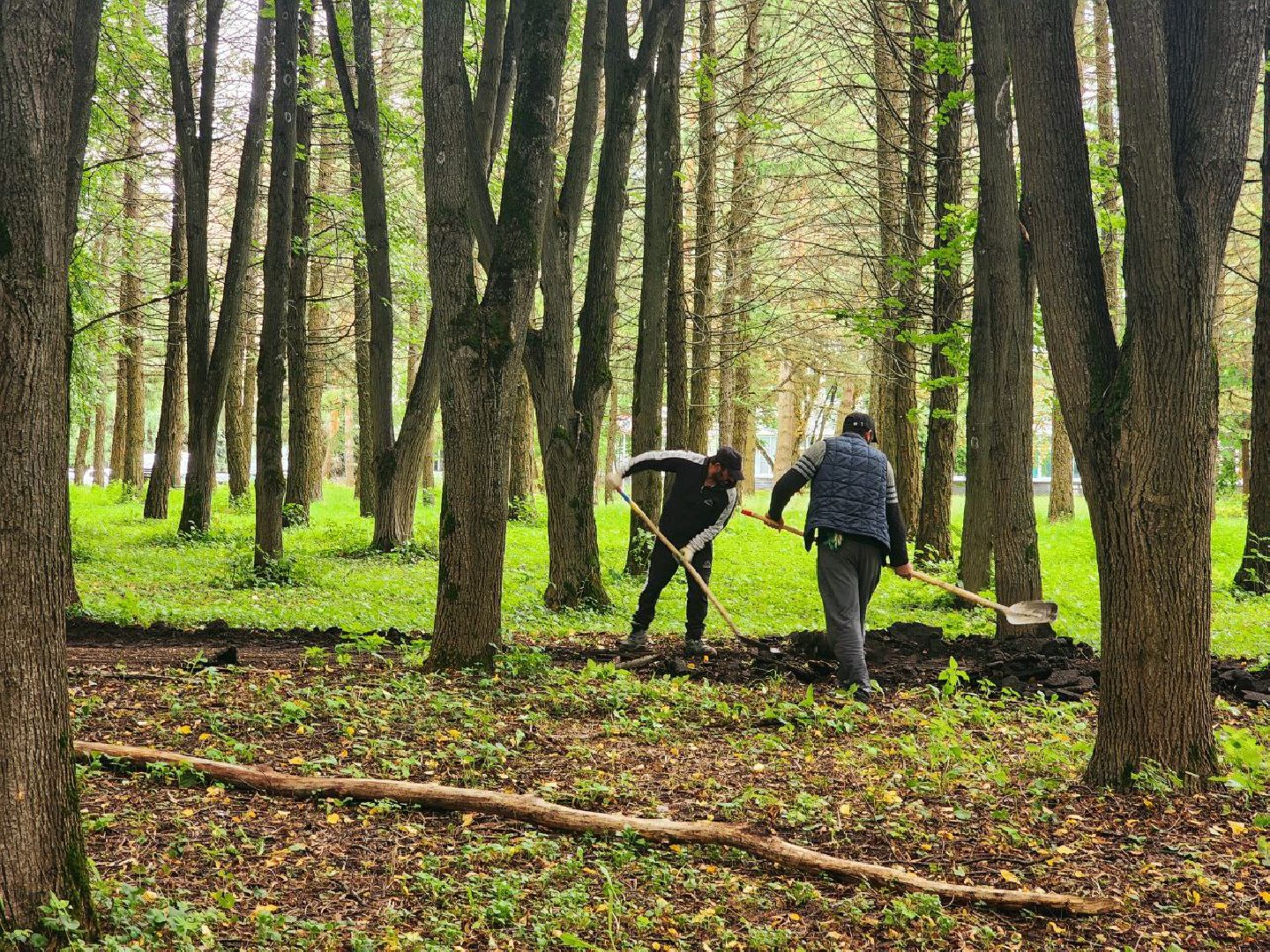 пущино, серпухов, народные тропы,
