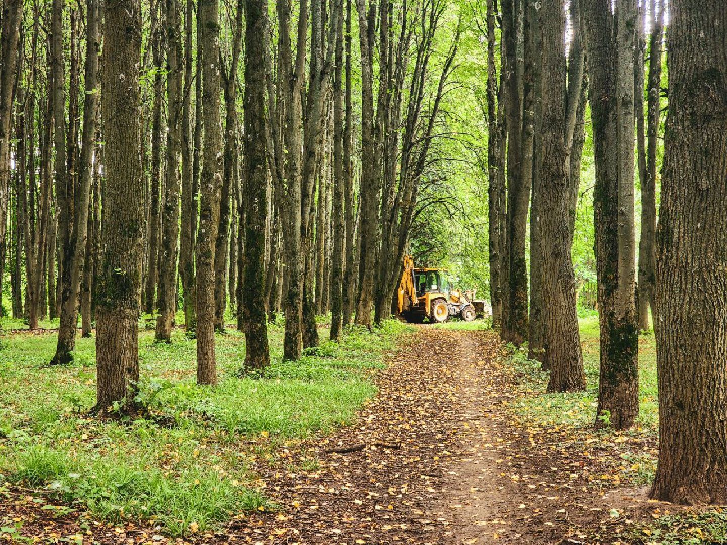 пущино, серпухов, народные тропы,