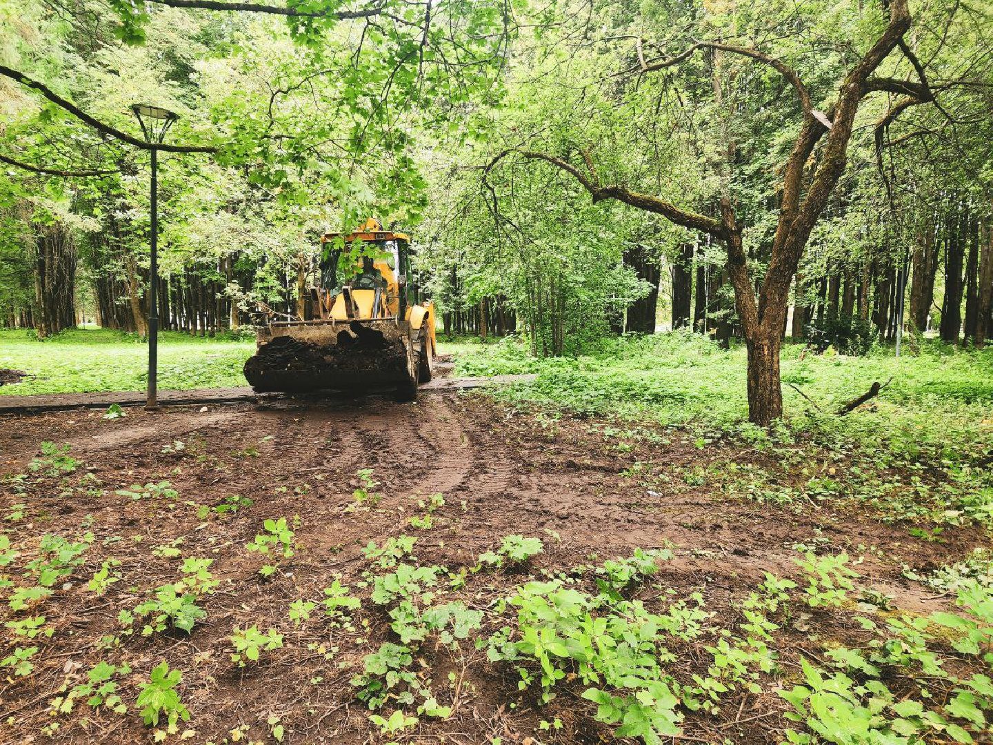 пущино, серпухов, народные тропы,
