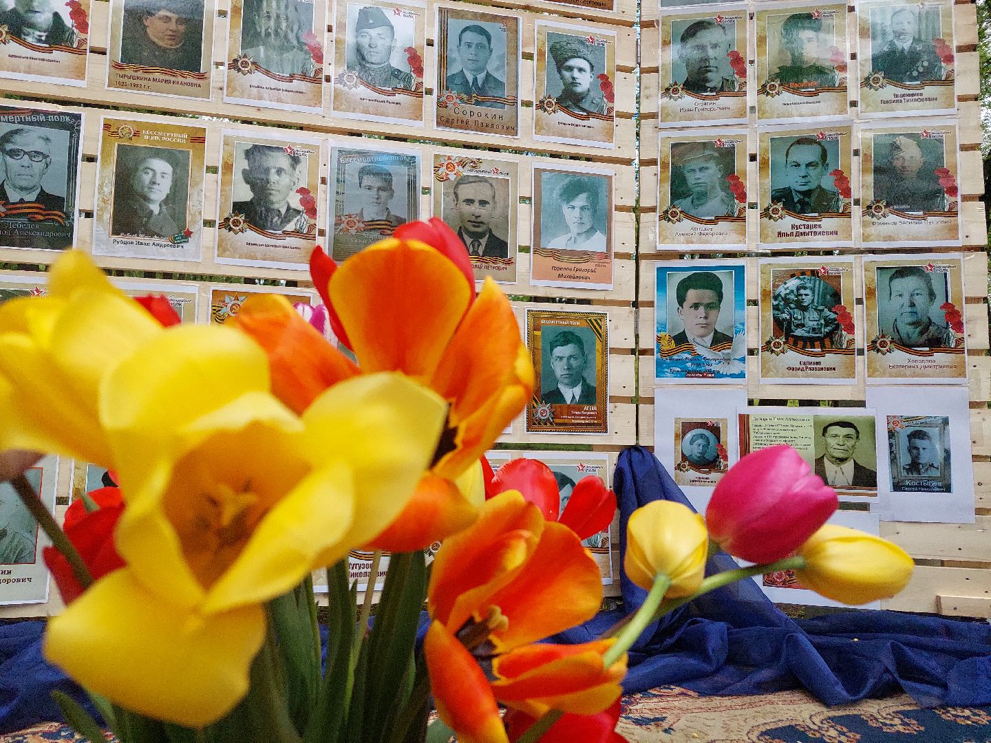 День Победы, парк, стена памяти, память