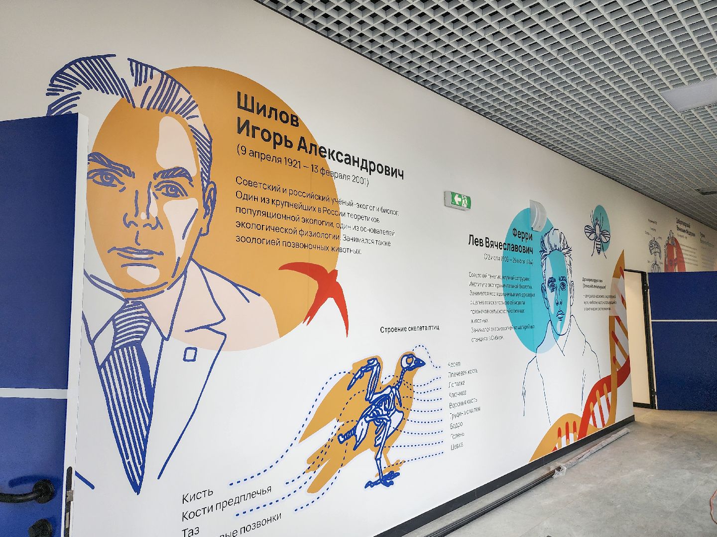 Подольск, капремонт, капремонт школы,