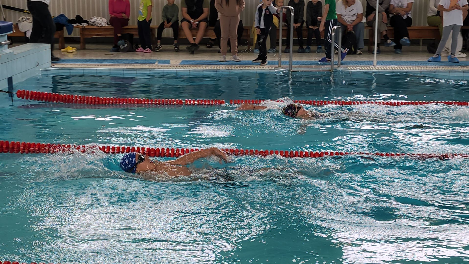 Дедовск, Плавание,Спорт, Истра,