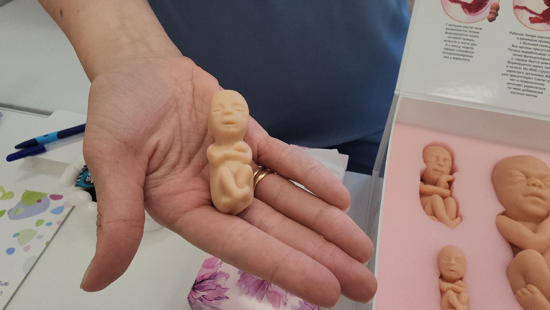 люберецкая областная больница, люберцы, женская консультация, будущие мамы, комплект эмбрионов,