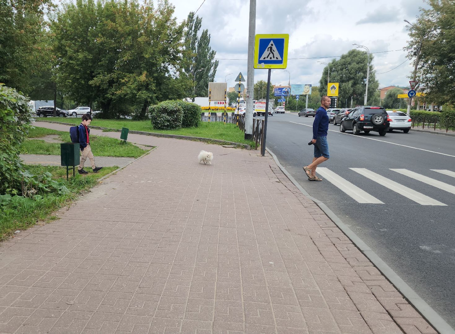 безопасность на дорогах, орехово-зуевский округ, муляжи детей,