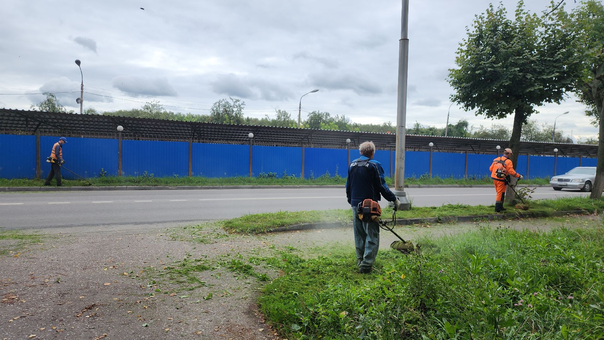 серпухов, подмосковье, покос травы,