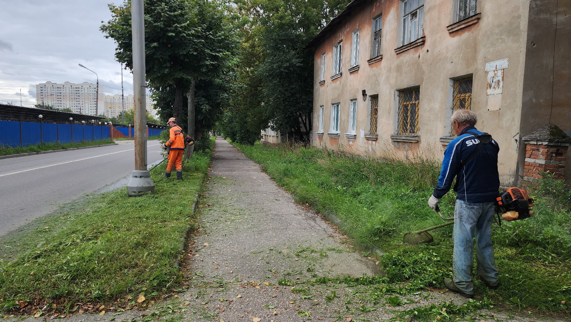 серпухов, подмосковье, покос травы,