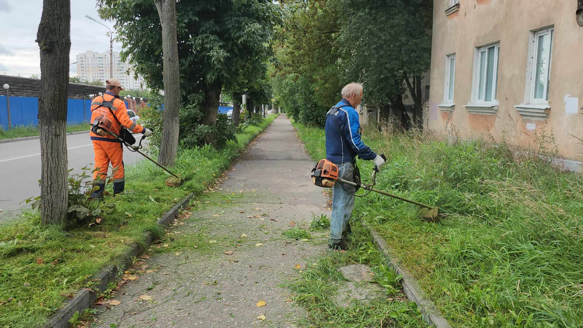 серпухов, подмосковье, покос травы,