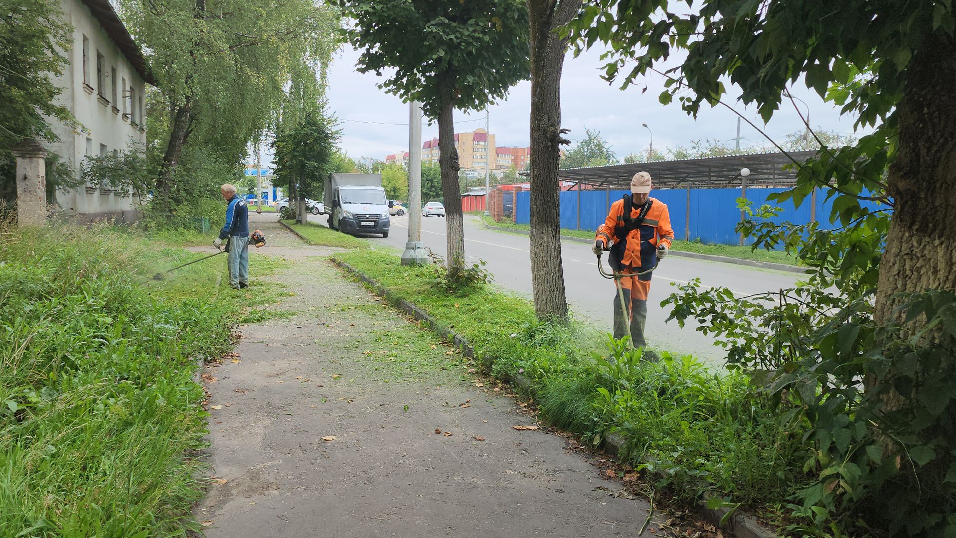 серпухов, подмосковье, покос травы,