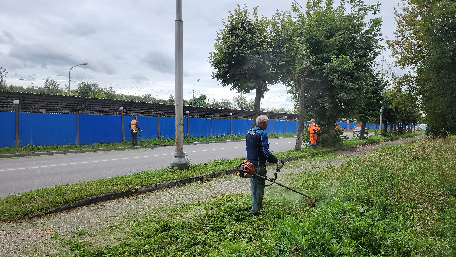 серпухов, подмосковье, покос травы,