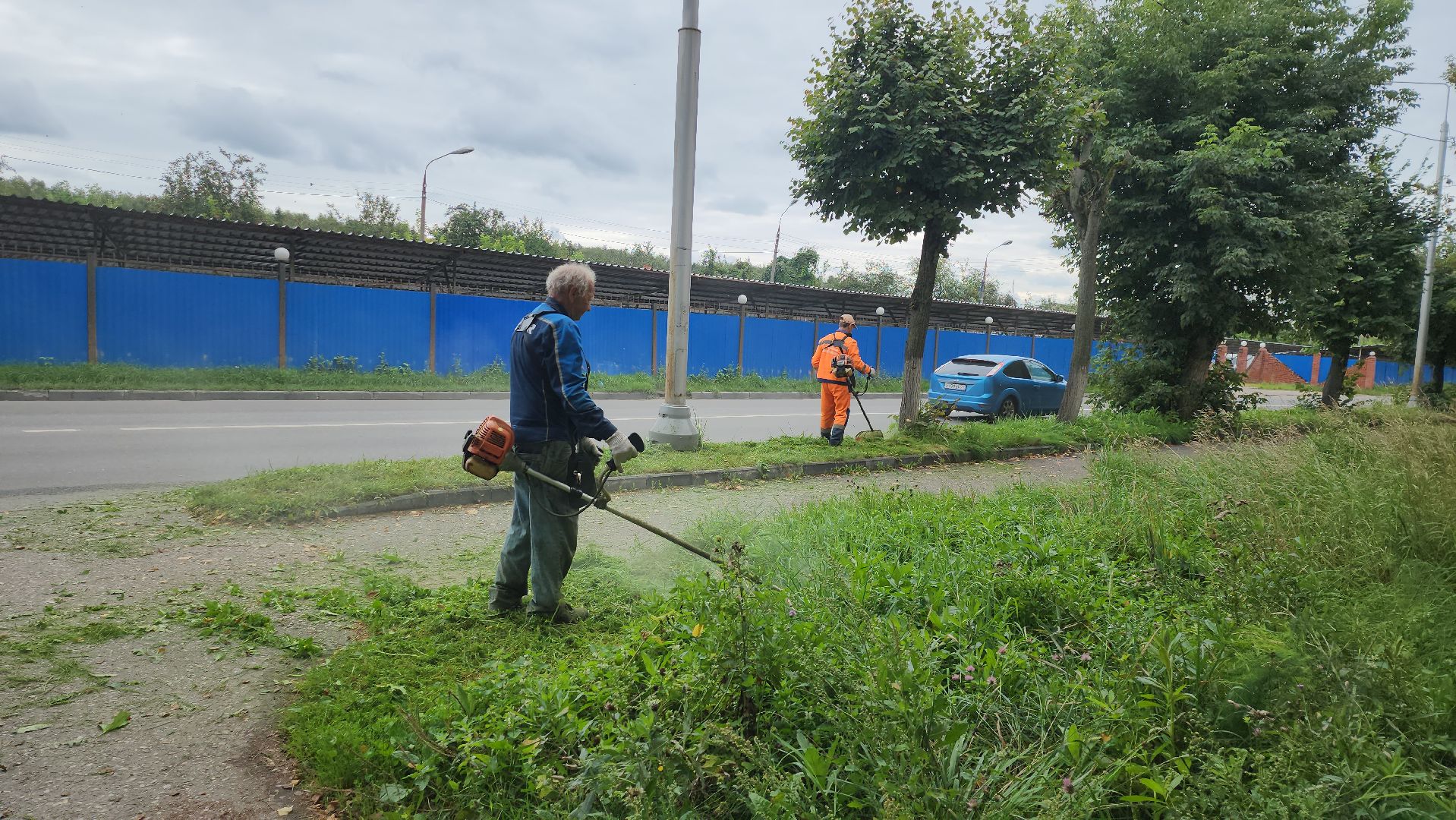 серпухов, подмосковье, покос травы,