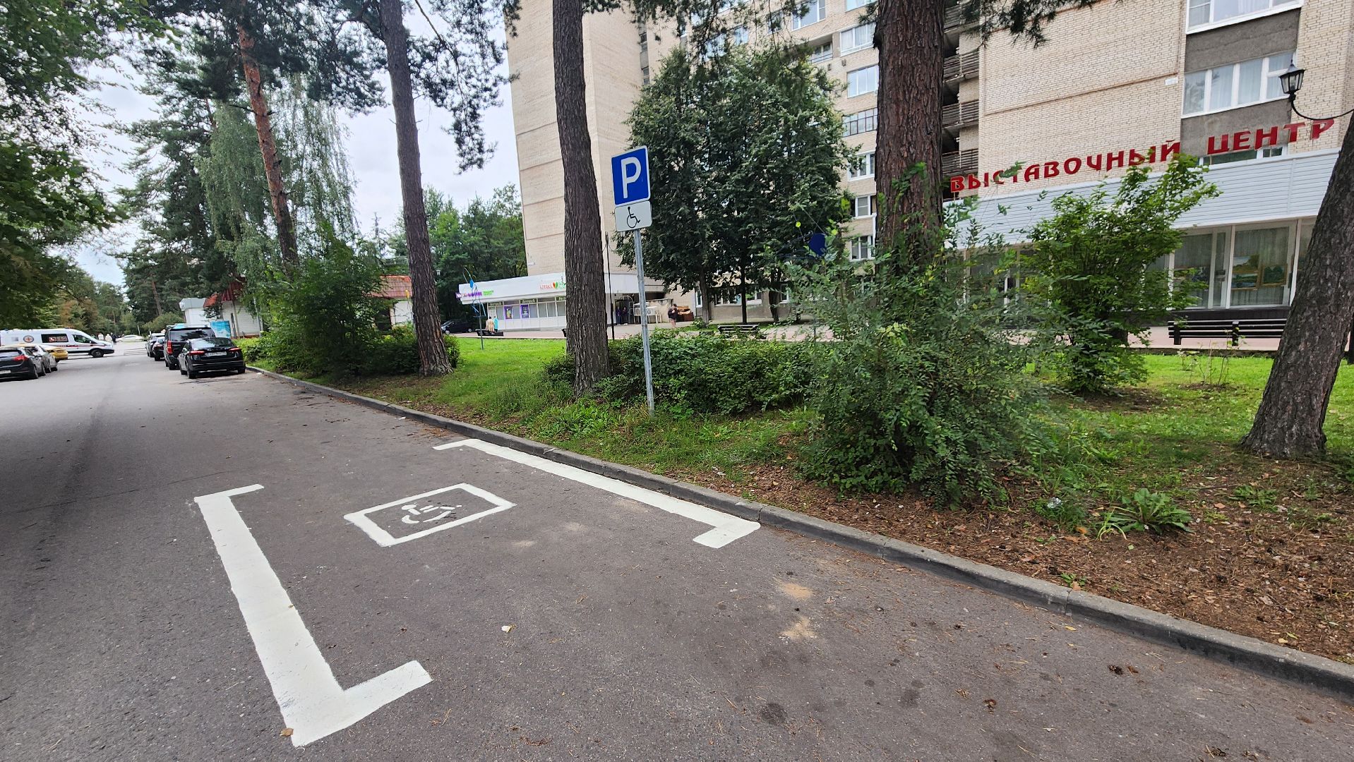 дорожная разметка, протвино, места для инвалидов,