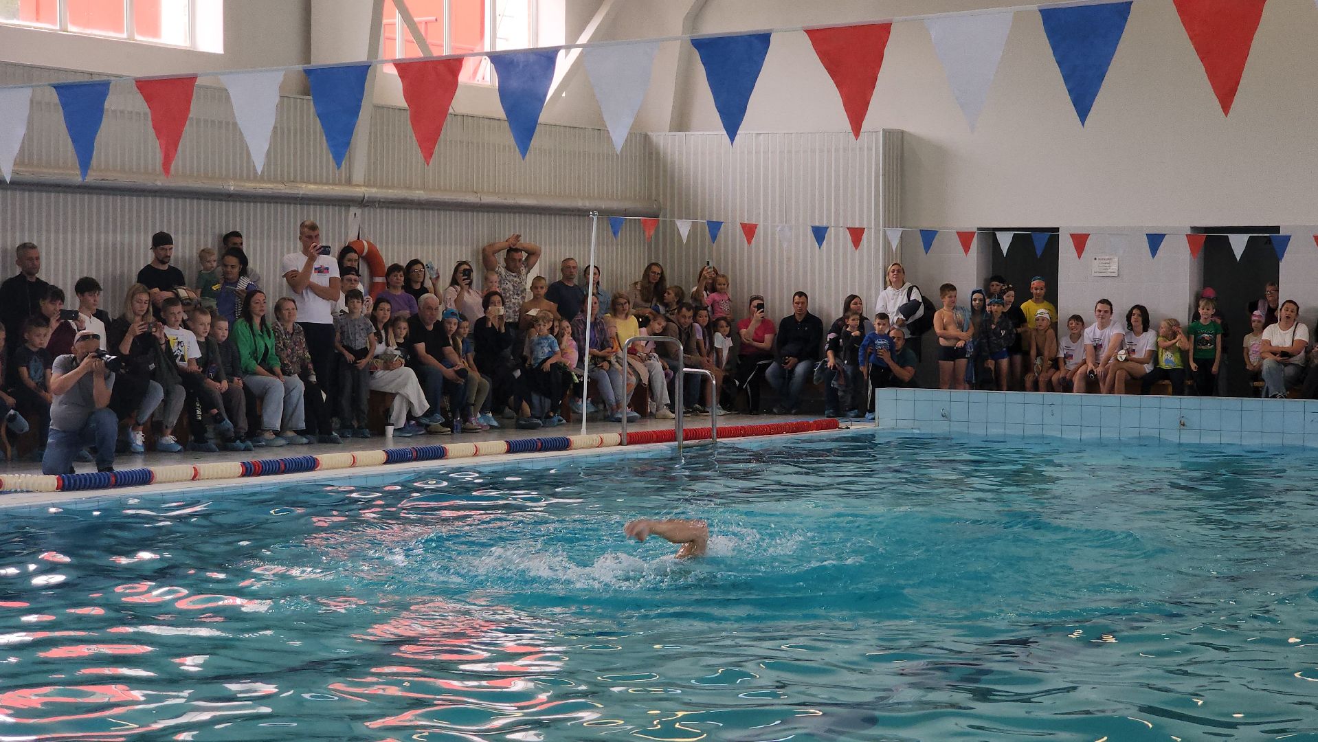 Спорт, Плавание, Чемпионы мира по плаванию,Дедовск, Истра,