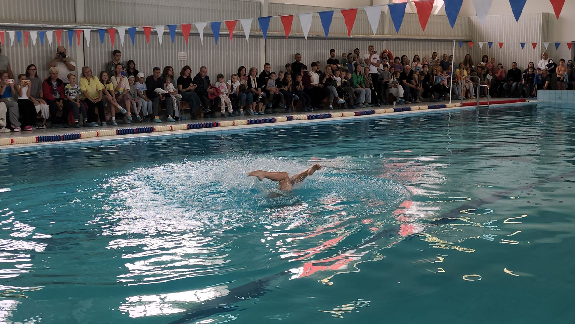 Спорт, Плавание, Чемпионы мира по плаванию,Дедовск, Истра,