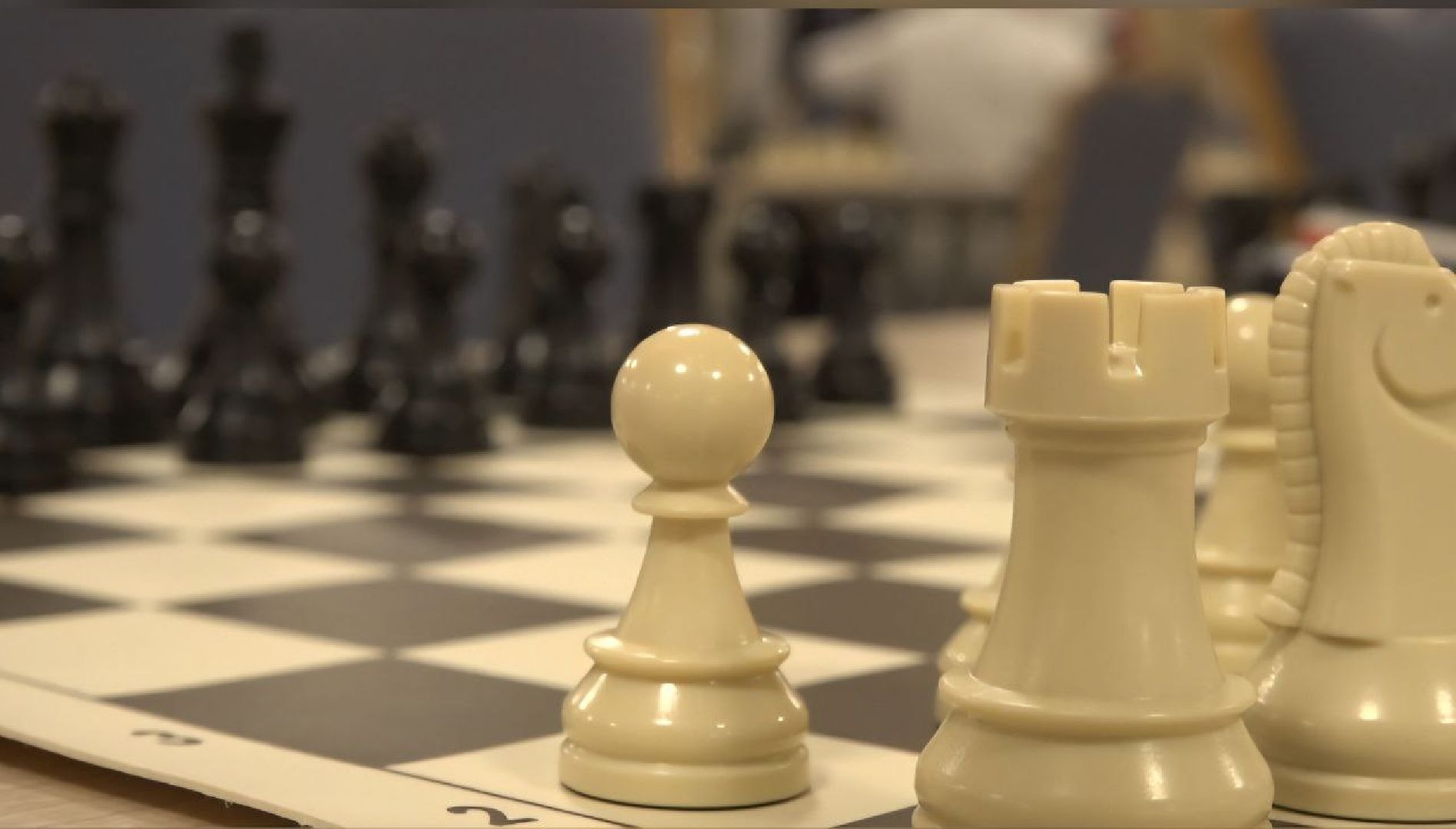 можайск, можайский муниципальный округ, подмосковье, активное долголетие, турнир, шахматный турнир,