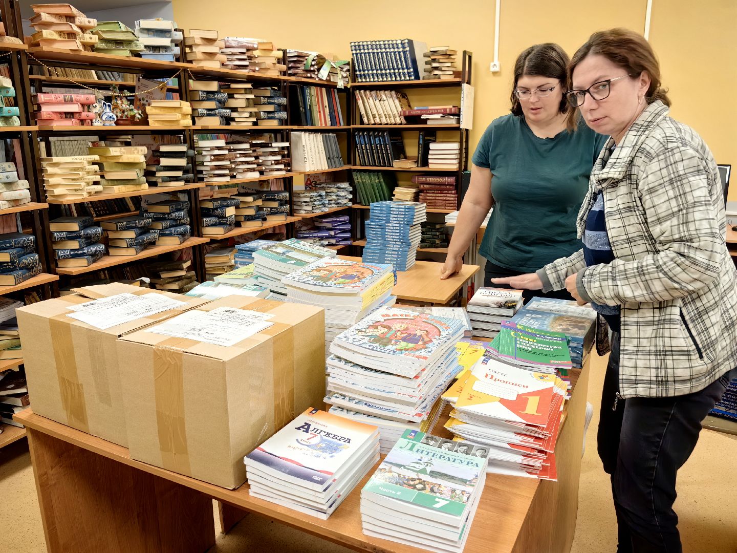 школа, библиотека, учебники,  книги,