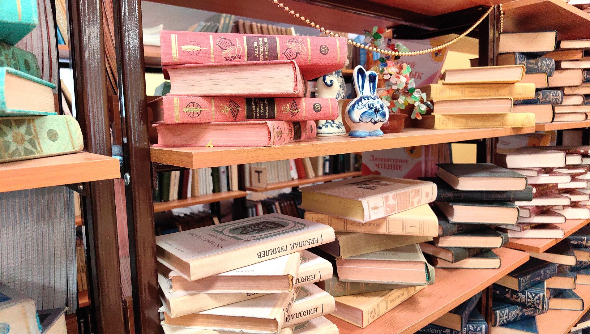 школа, библиотека, учебники,  книги,