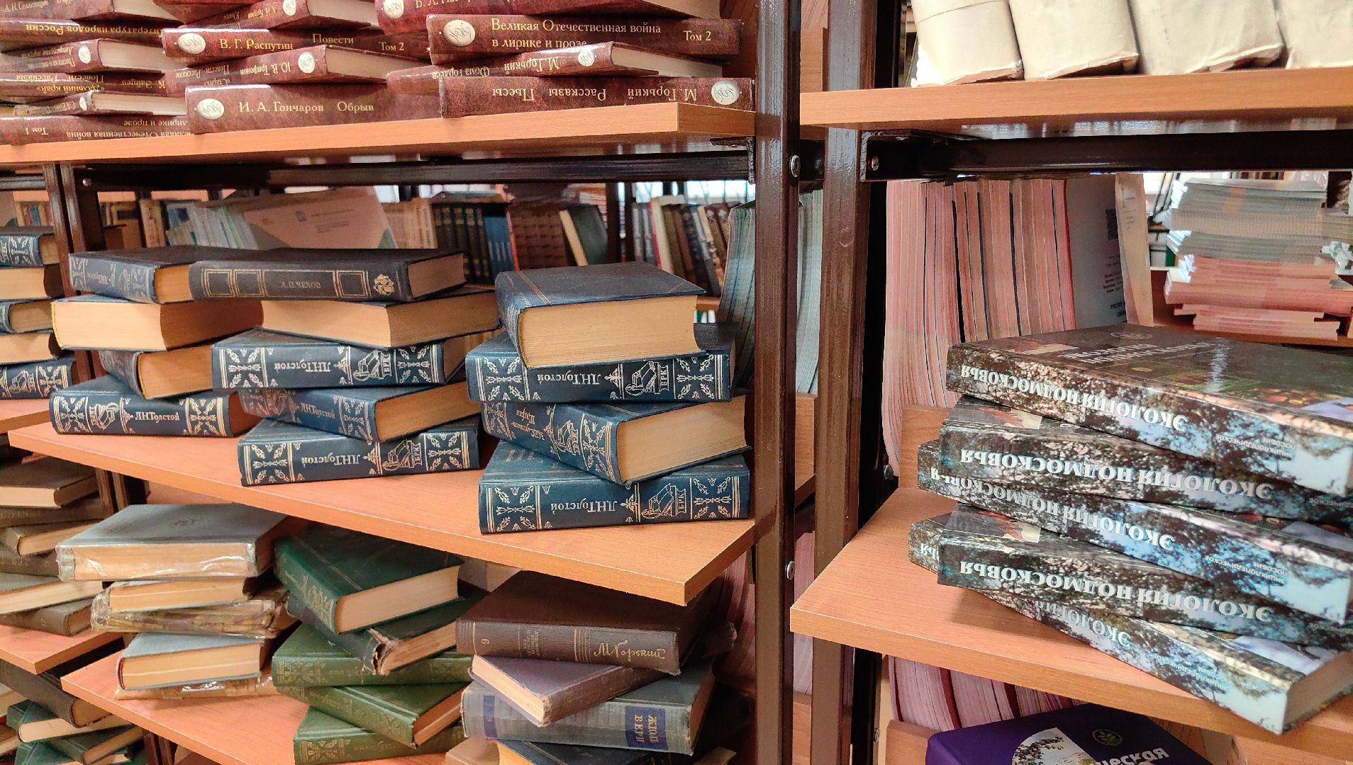 школа, библиотека, учебники,  книги,