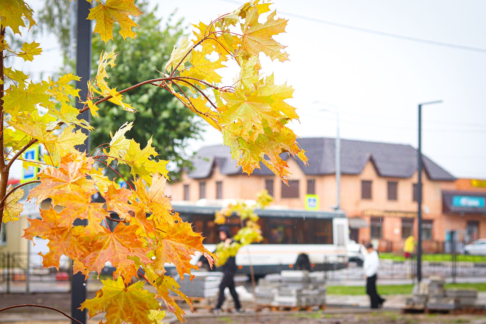 клин, общество, благоустройство,