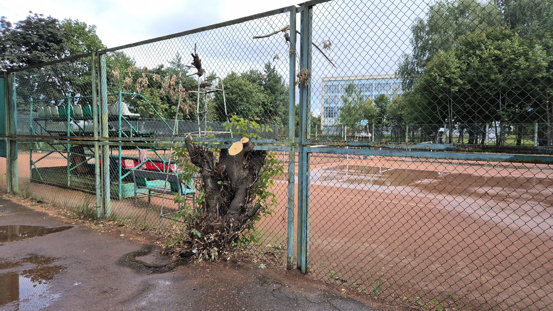 дубна, теннисныекорты, ремонт,