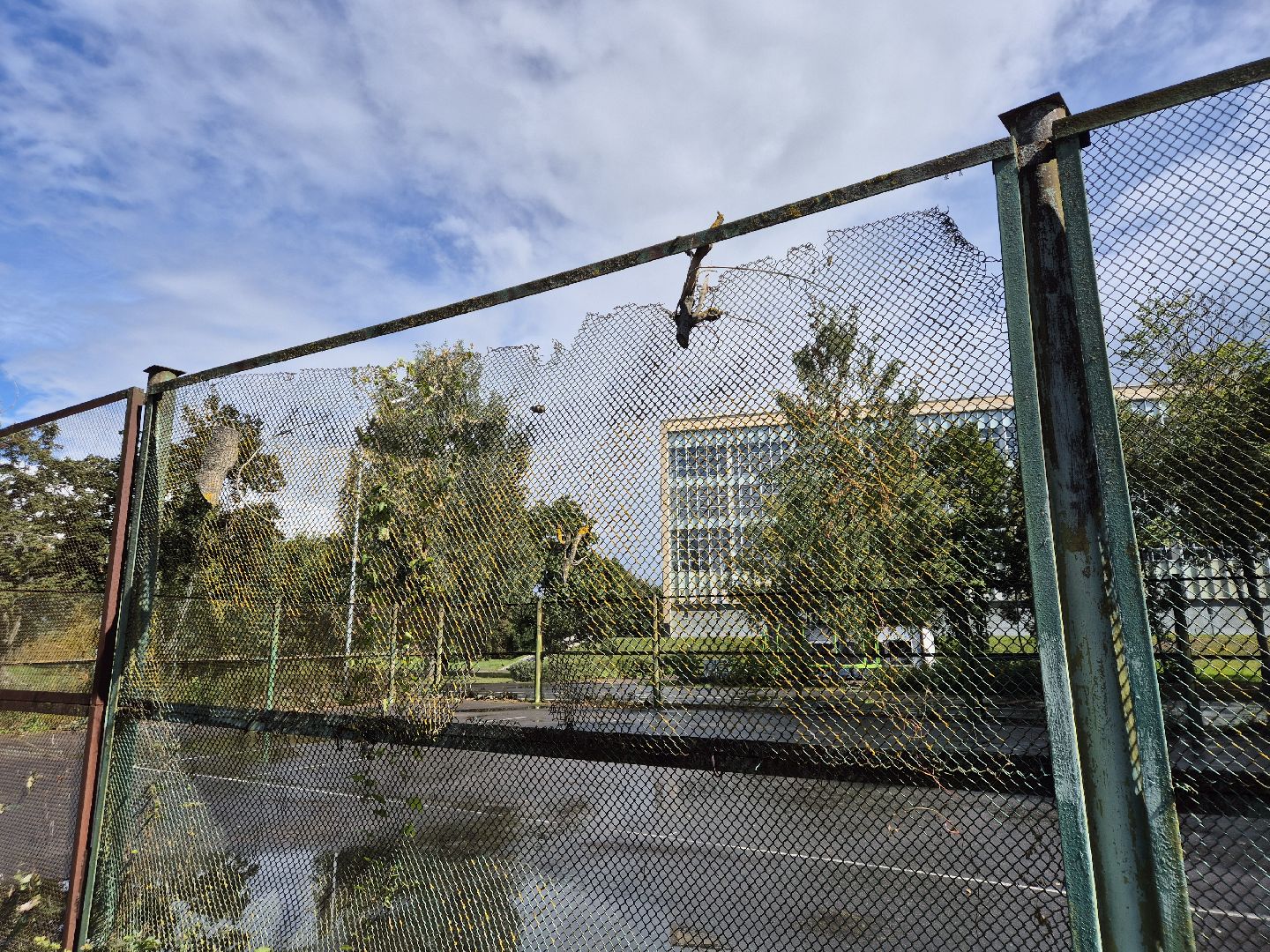 дубна, теннисныекорты, ремонт,