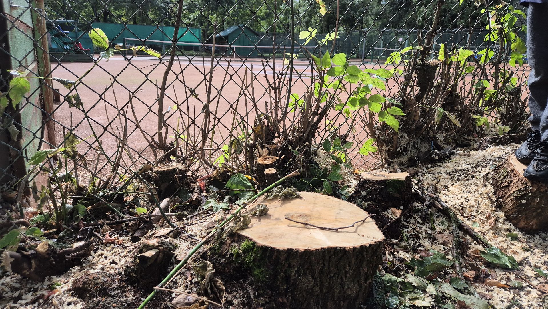 дубна, теннисныекорты, ремонт,