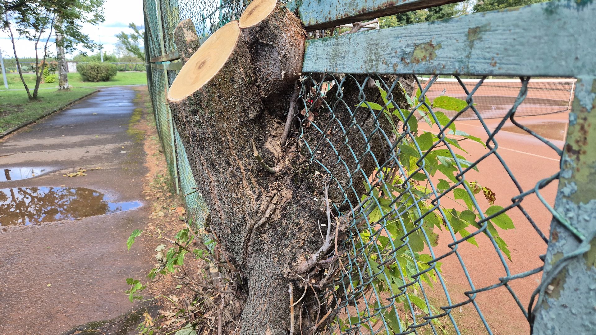 дубна, теннисныекорты, ремонт,