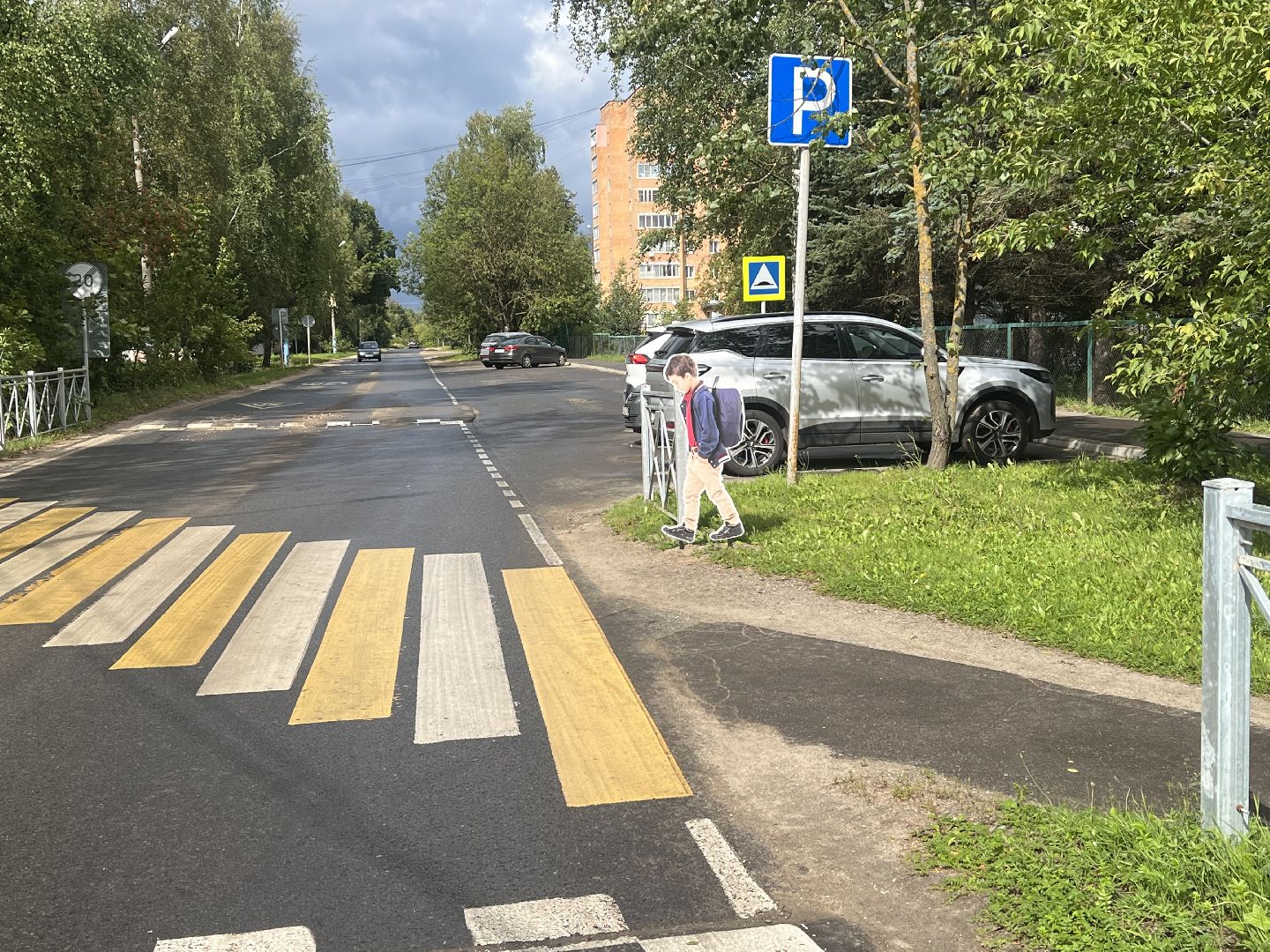 Запрудня , Дороги пешеход, талдомский городской округ,
