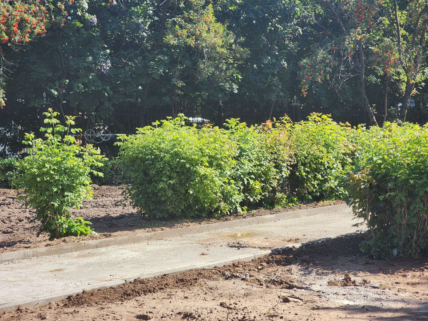 королёв, благоустройство , сквер имени чмырева в королеве ,
