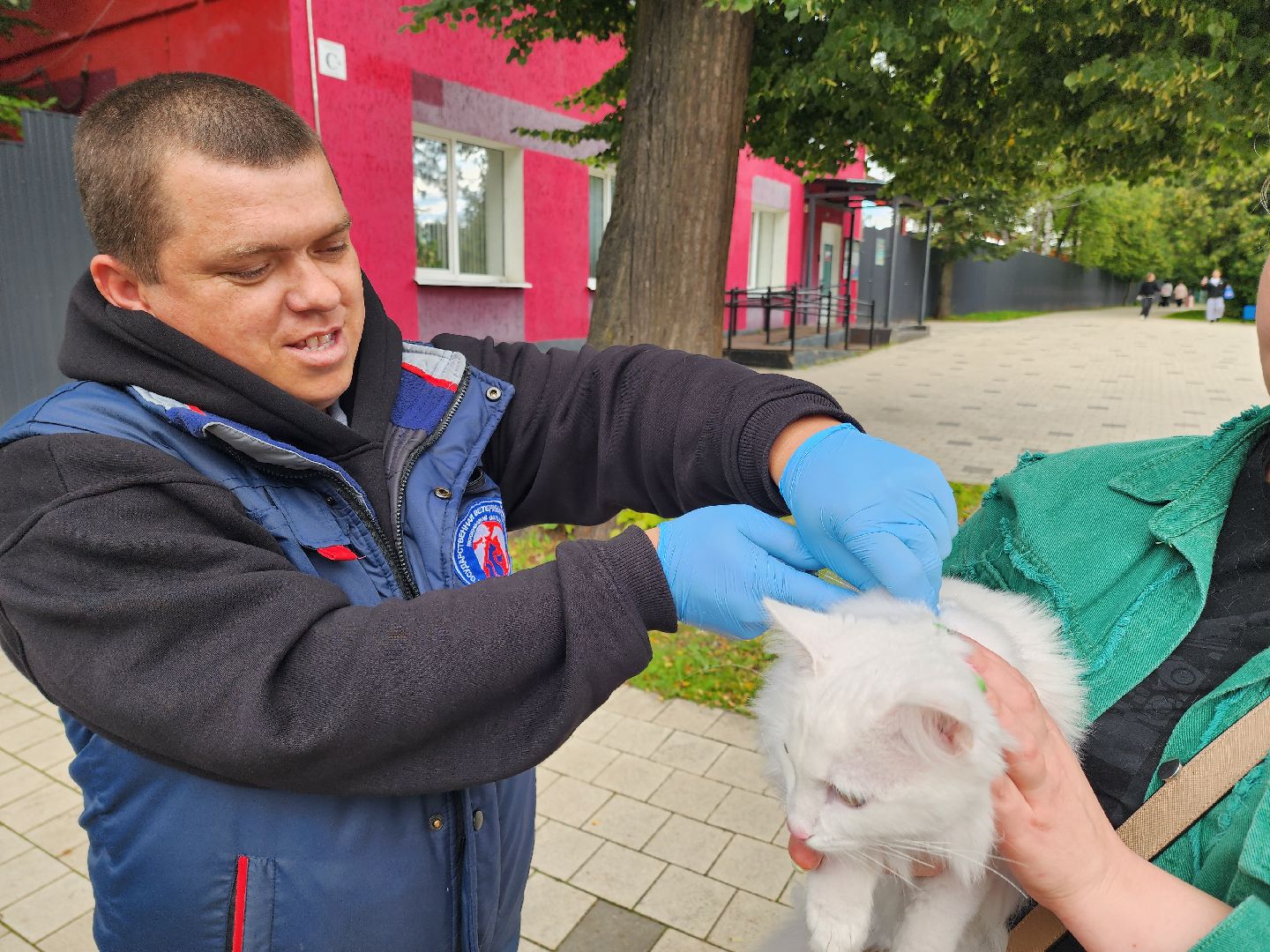 солнечногорск, вакцинация , животные , питомцы, прививка,