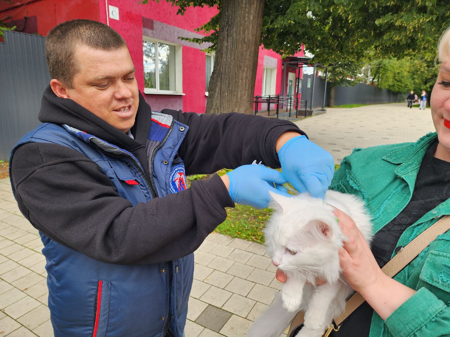 солнечногорск, вакцинация , животные , питомцы, прививка,