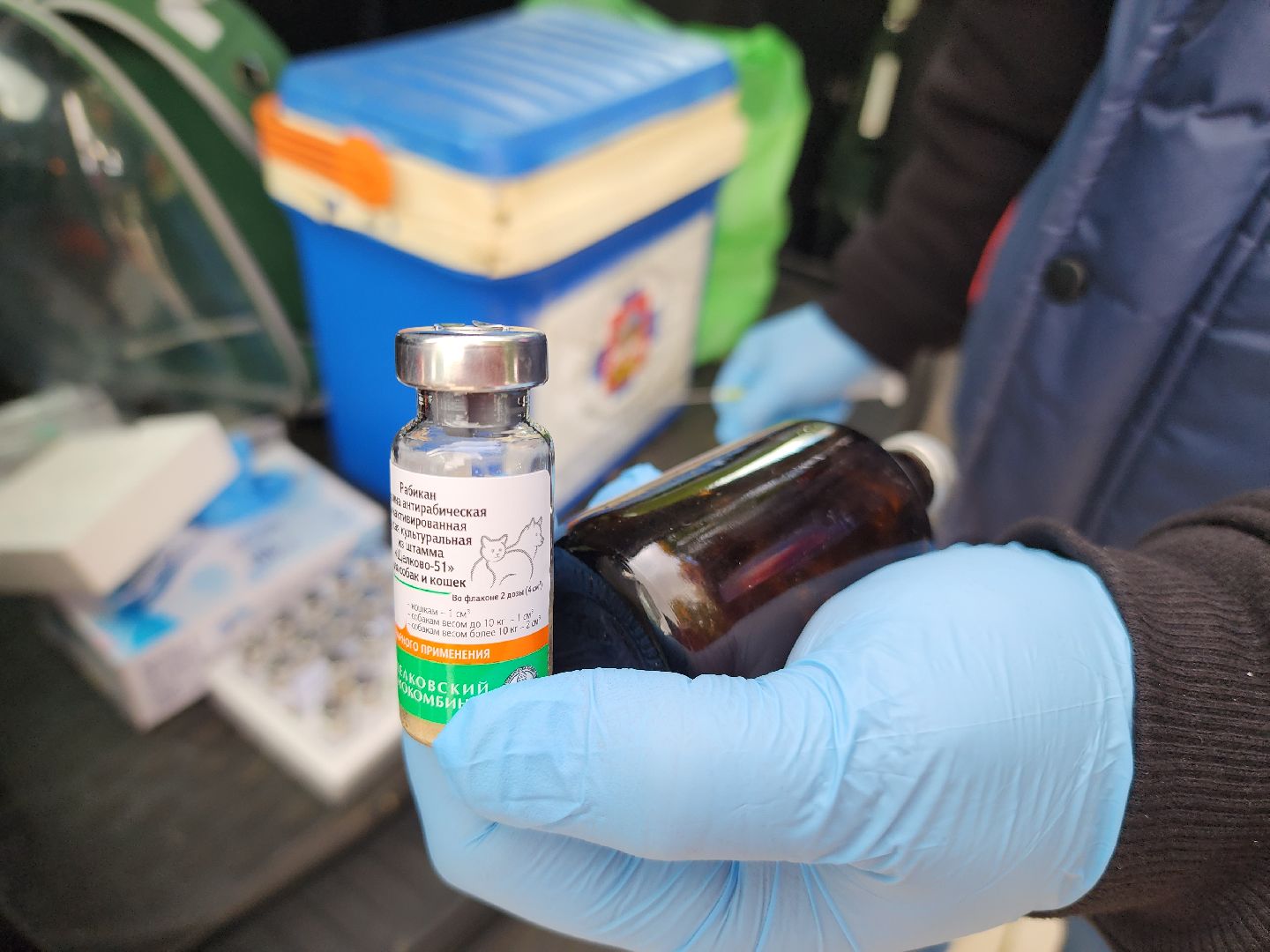 солнечногорск, вакцинация , животные , питомцы, прививка,