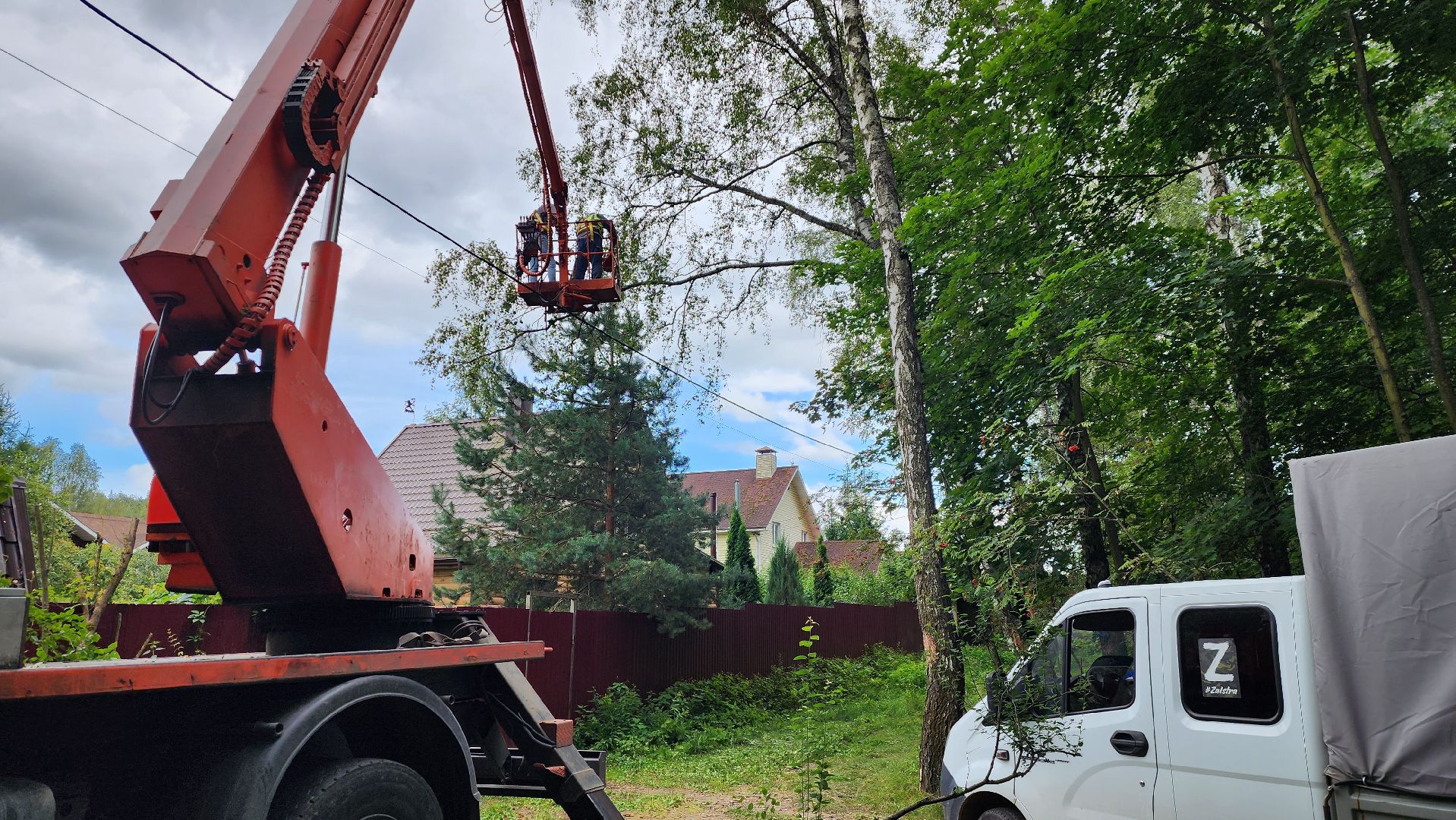 истра, аварийные деревья, благоустройство, добродел,