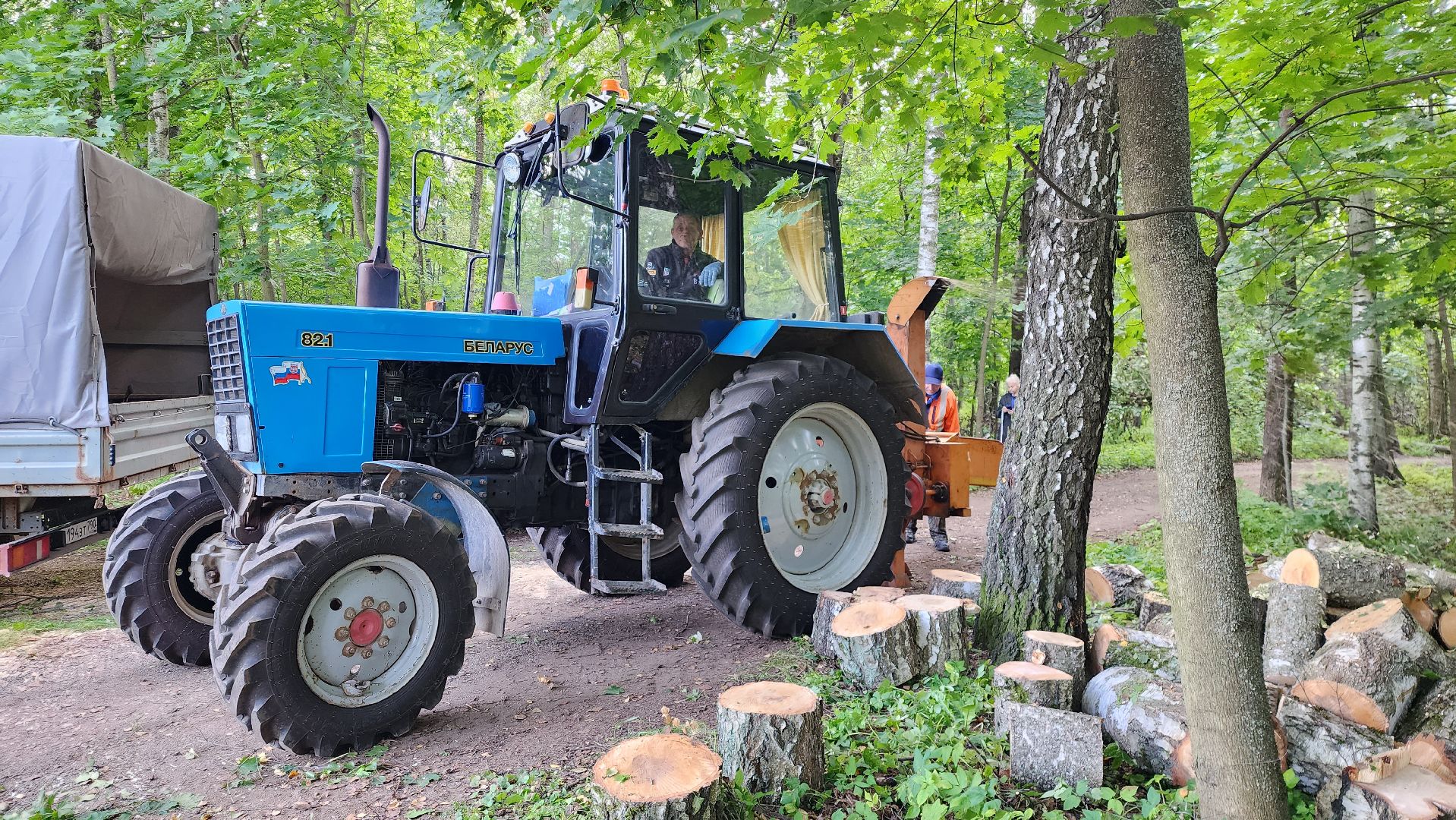 истра, аварийные деревья, благоустройство, добродел,